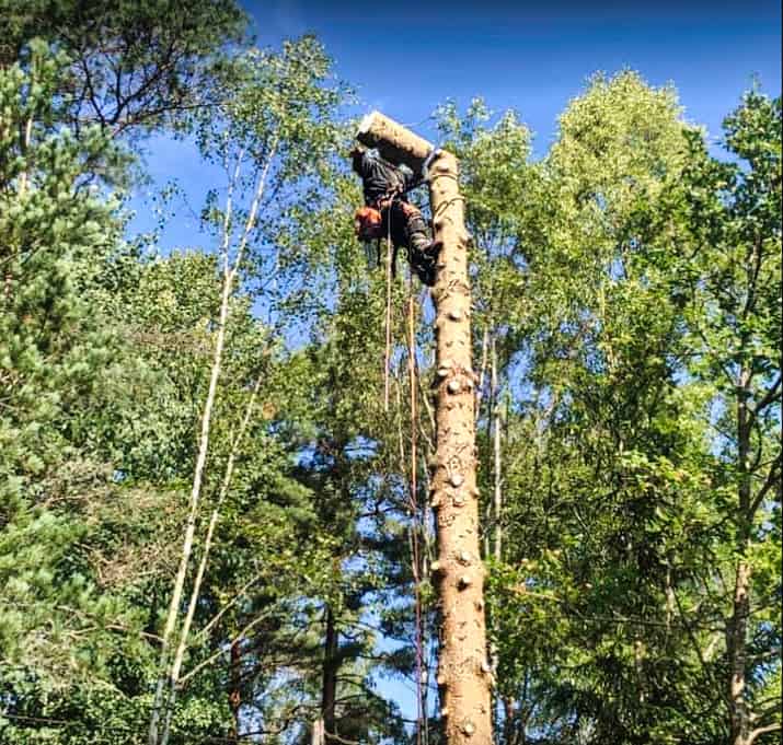 Djupeskog Trädfällning är experter på att fälla träd genom klättring. Företaget utför arbeten i Vallentuna.