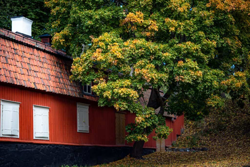 Företag, organisationer, samfälligheter och föreningar, vi erbjuder heltäckande arboristtjänster för ert behov. Låt oss göra den svåra biten. Ring våra trädfällare i dag och prata med en expert. 