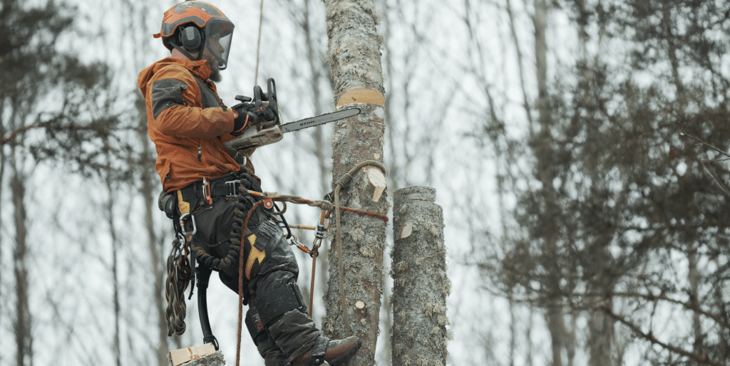 En kunnig arborist arbetar med trädfällning, trädvård och underhåll. Arboristen arbetar på Djupeskog Trädfällning, med bra omdömen och kundbetyg.