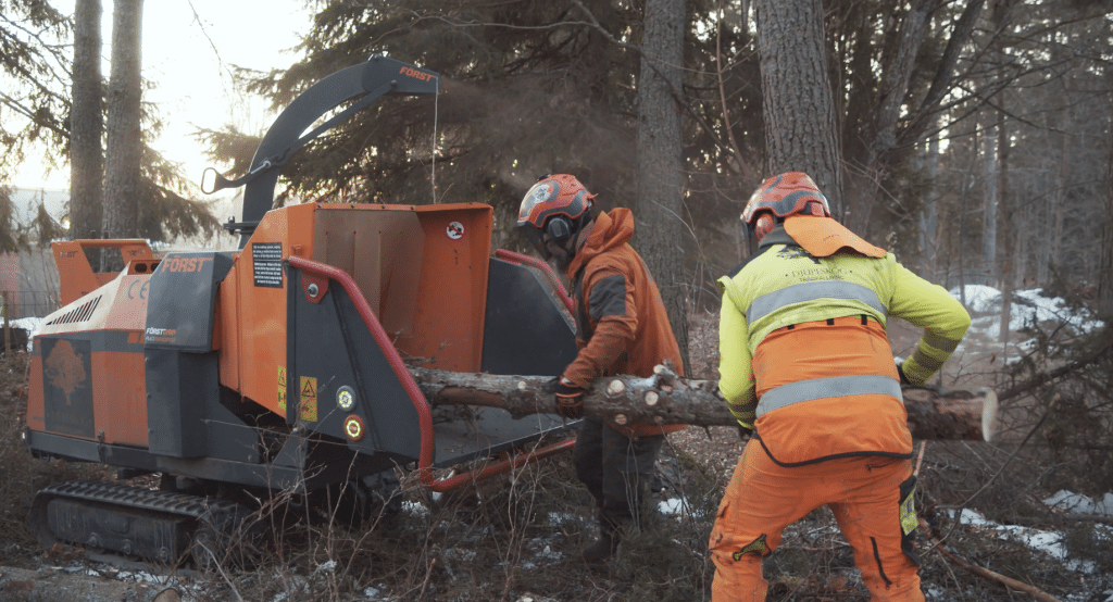 Erfarna arborister från Djupeskog Trädfällning flisar trädstammar efter avancerad trädfällning i Norrtälje, där kunden nyttjar 50% RUT-avdrag på arbetskostnaden.