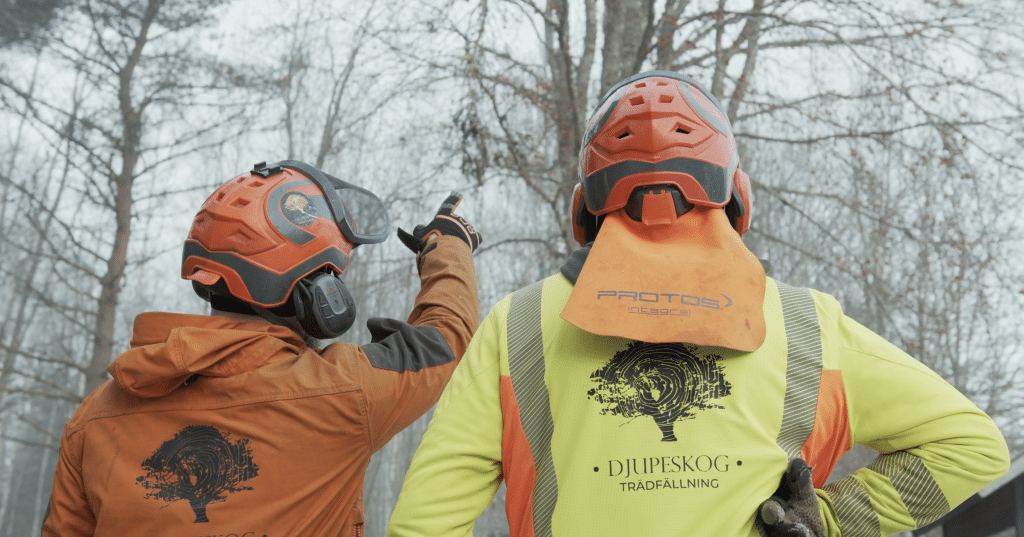 Trädfällning med motorsåg – Djupeskog lär dig planering och avverkning