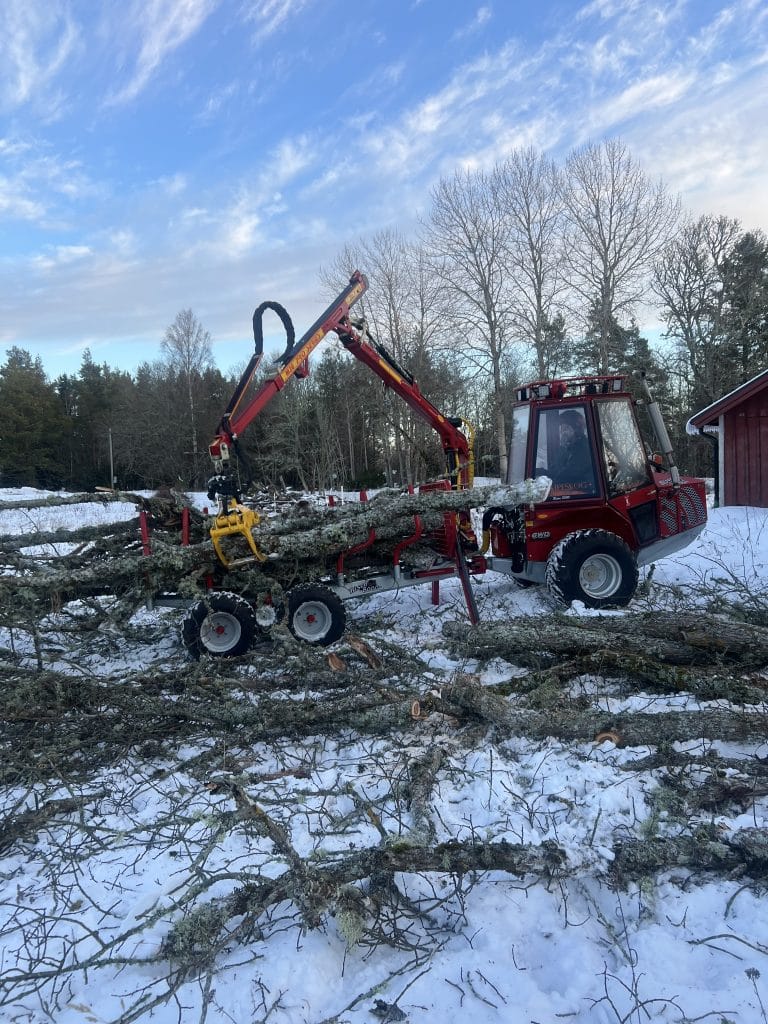 En trädfällare som arbetar med bortforsling av ett träd. Trädfällaren använder en skotare förforsla bort det höga trädet.