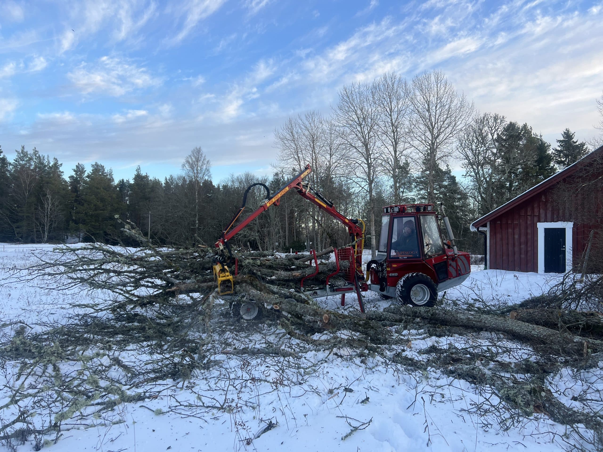 Bortforsling efter trädfällning med skotare av Djupeskog Trädfällning i Norrtälje