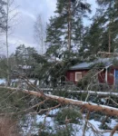 Professionell trädfällning och röjning pågår – stormfällda träd avlägsnas från byggnaden.