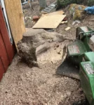 Stubbe i villaträdgård innan stubbfräsning påbörjas