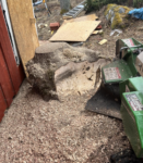 stubbfräsning förebild av en stubbe som står nära ett hus och ska fräsas bort med en stubbfräsmaskin