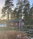 Efter säker trädfällning av stormfällt träd – träd efter arbete-djupeskog