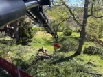 bortforsling vid fastighet och bostadsrättsförening djupeskog
