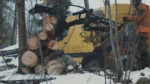 djupeskog utför professionell flisning i roslagen djupeskog