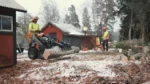 flisning av ris och grenar i roslagen djupeskog