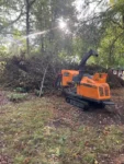 flisning av grenar och trädmaterial på tomt djupeskog