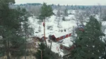Arborist avgör när det är lämpligt att genomföra trädfällningen.