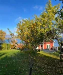 En fruktträdgård där strandskyddet är utvidgat.
